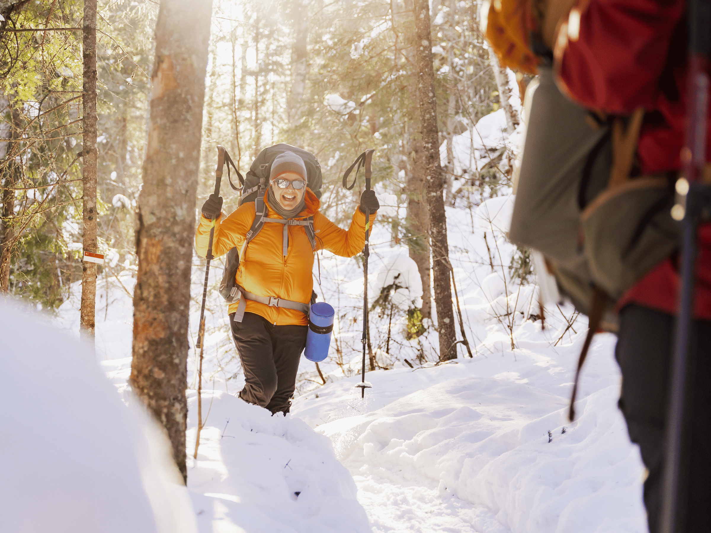 Randonneur en raquettes progressant dans un sentier enneigé en forêt à la Vallée Bras-du-Nord à Saint-Raymond dans Portneuf.