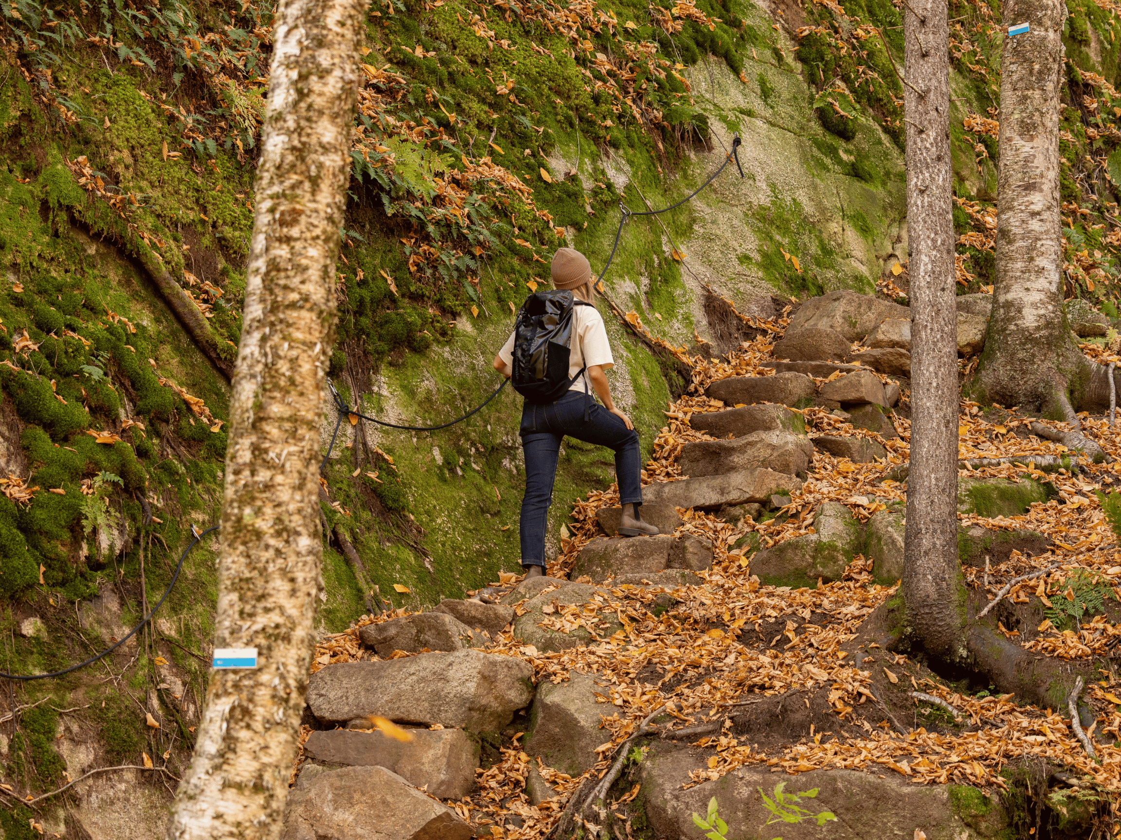 Montée en sentier rocheux en forêt avec assistance par câble, expérience de randonnée active à la Vallée Bras-du-Nord