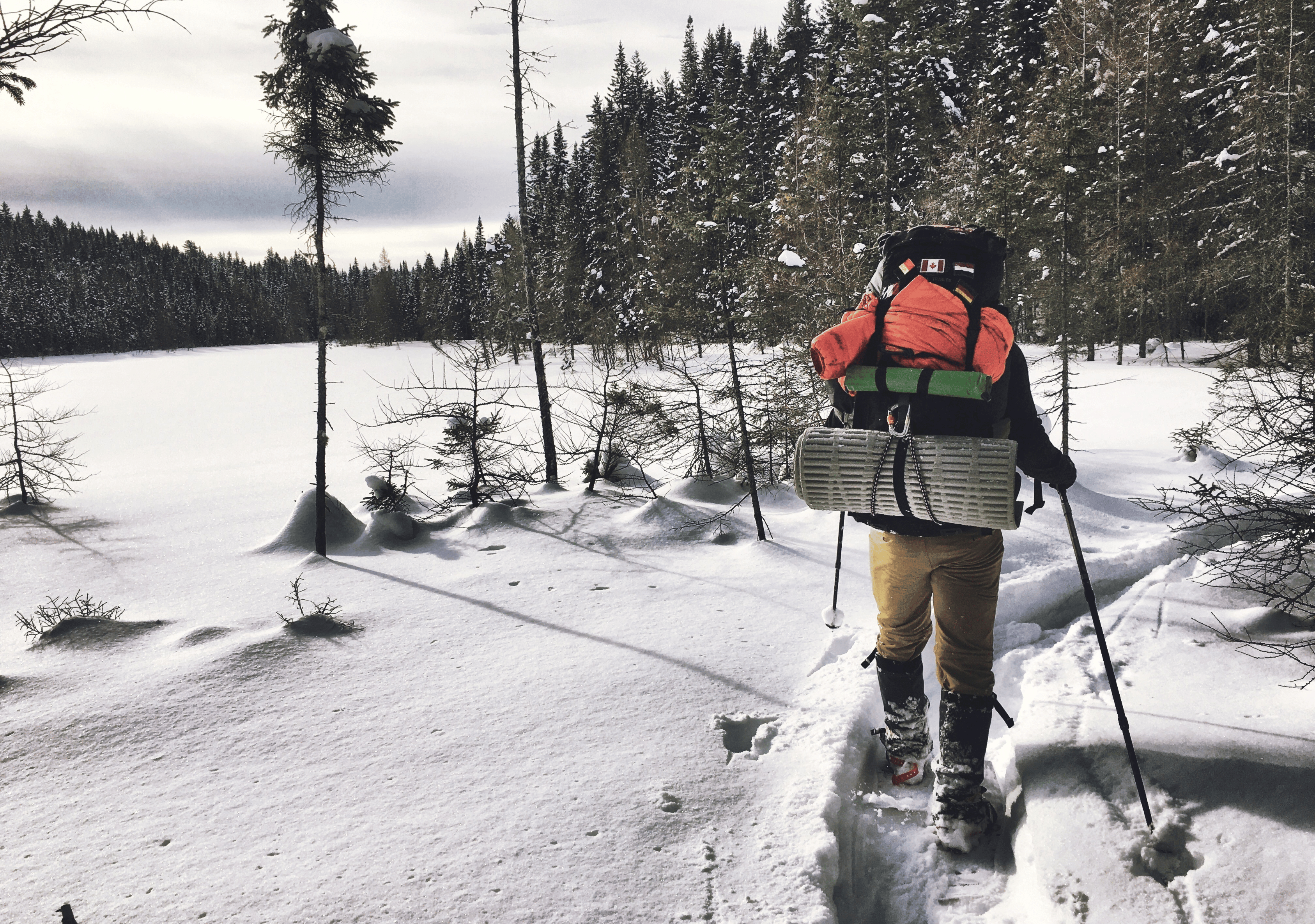 Randonneurs en raquette marchant dans la neige, vu sur un lac couvert de neige et une forêt de conifères