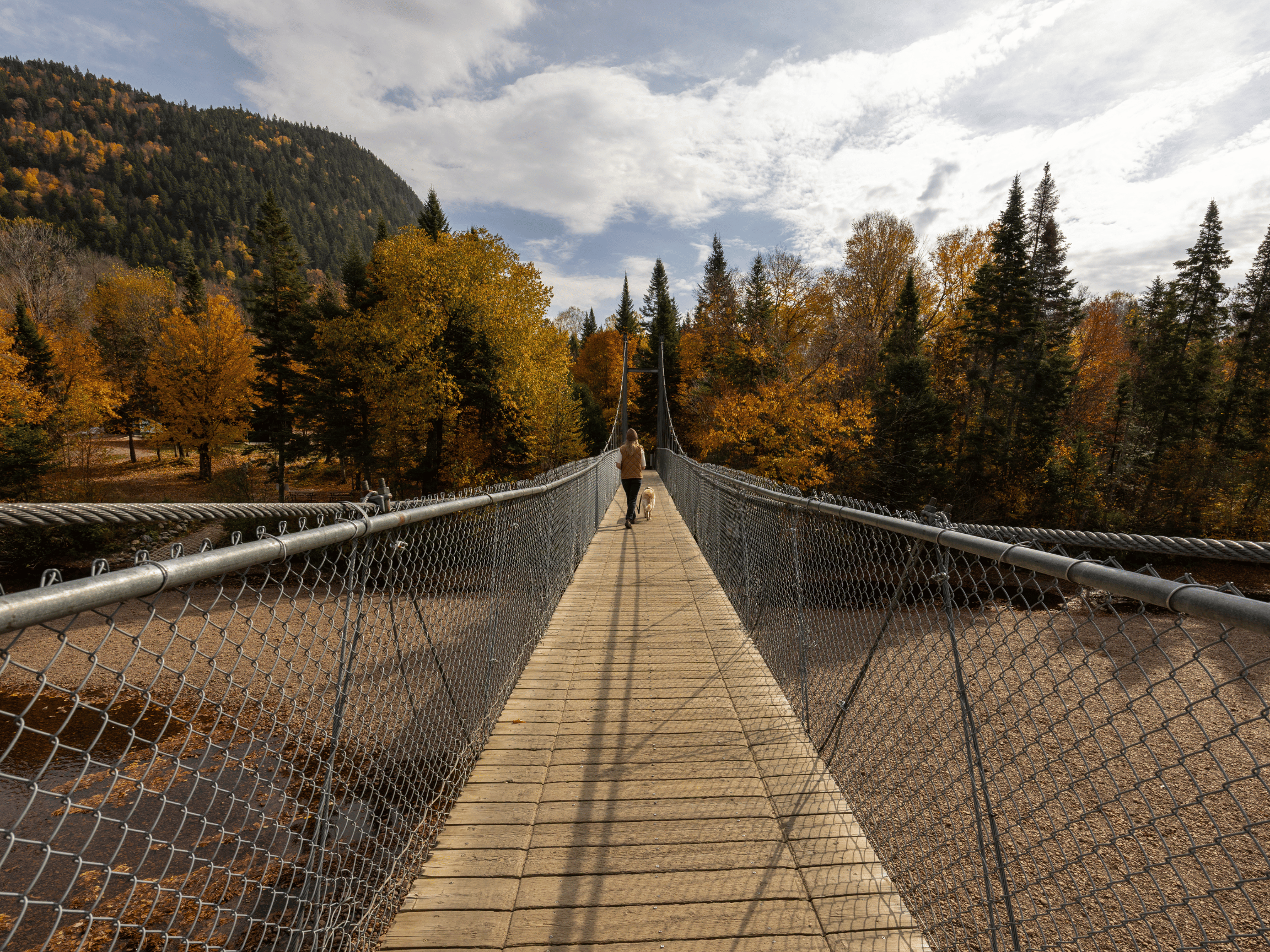 Marche sur passerelle suspendue au-dessus de la rivière Bras-du-Nord en automne, paysage nature près de Québec