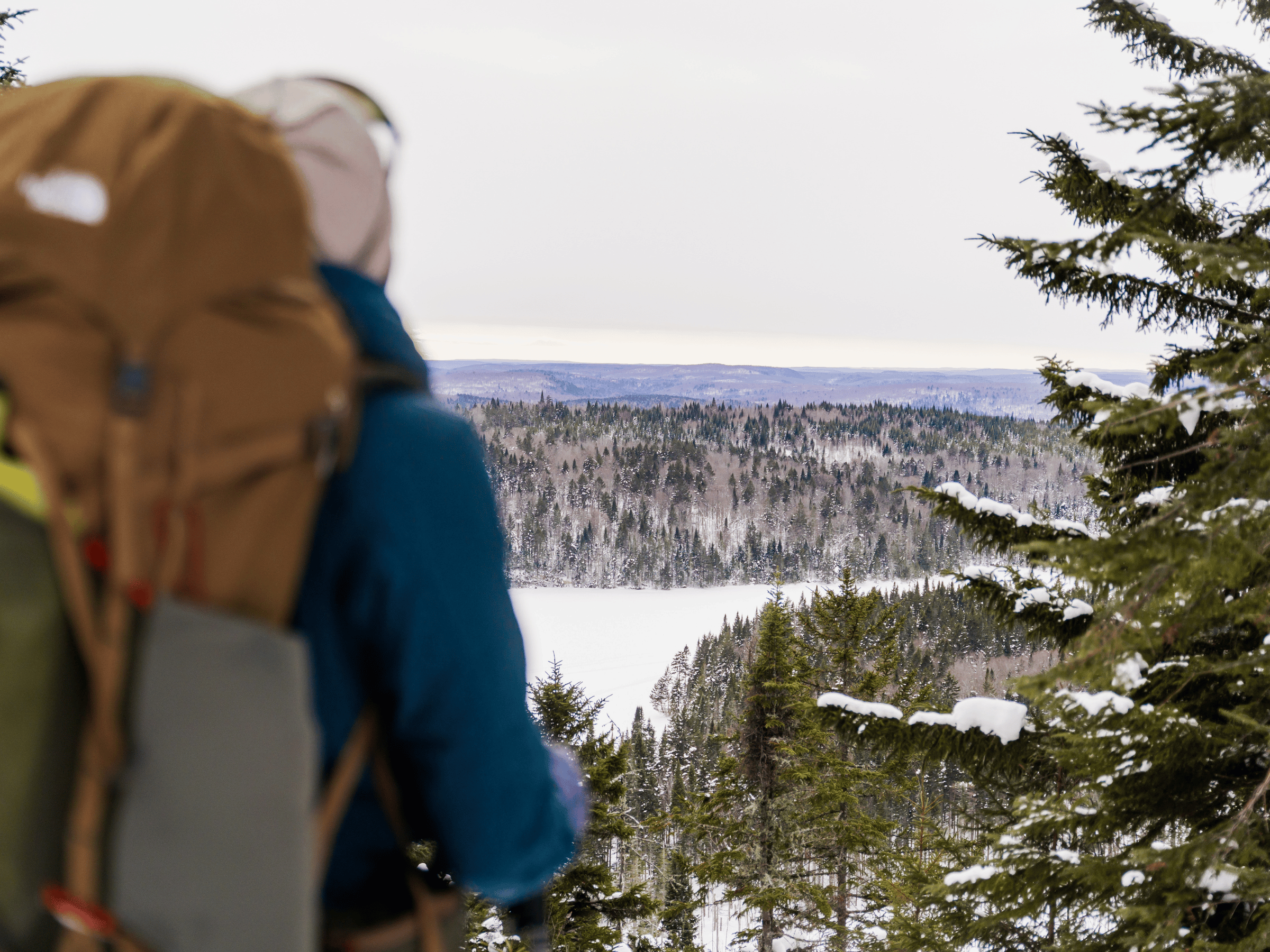 Randonneur contemplant le paysage enneigé et les forêts de Portneuf depuis un sommet à la Vallée Bras-du-Nord.