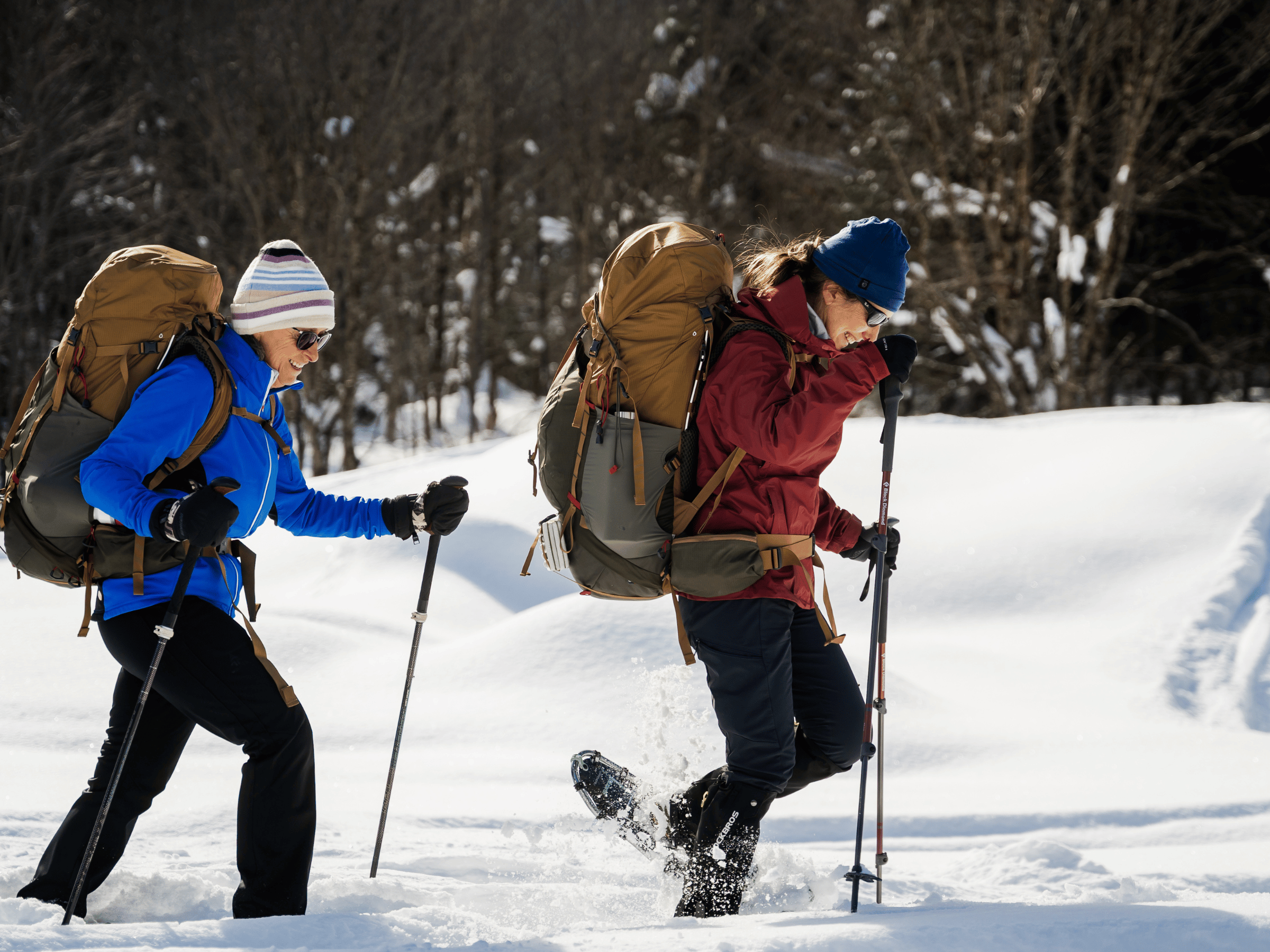 Deux randonneuses en raquettes progressant dans la neige en forêt à la Vallée Bras-du-Nord, destination plein air hivernale.