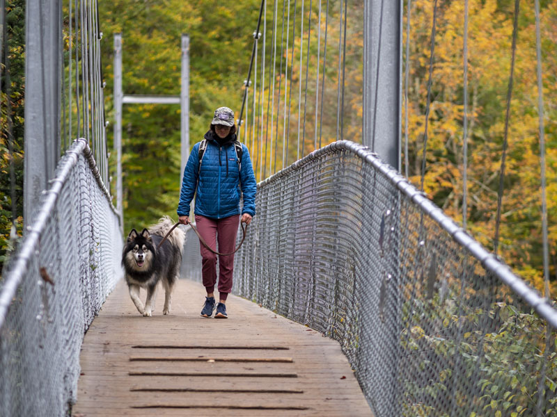 Personne promenant son chien sur un pont suspendu, accessible sur les sentiers de randonnée pédestre à la Vallée.