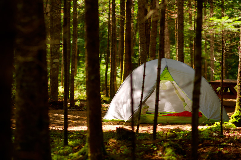 View of a tent at Camping Shannahan, one of the ideal types of accommodation for outdoor activities surrounded by nature.