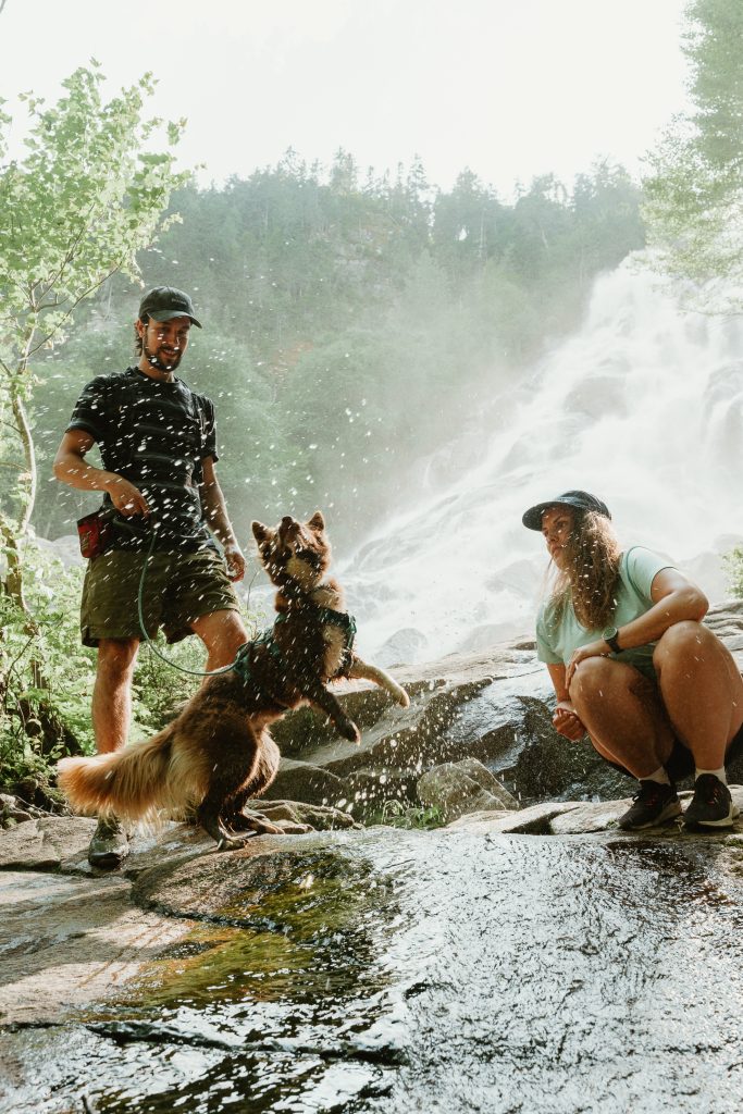 Famille et chien profitant d’une pause face à une grande chute d’eau - Chute Delaney