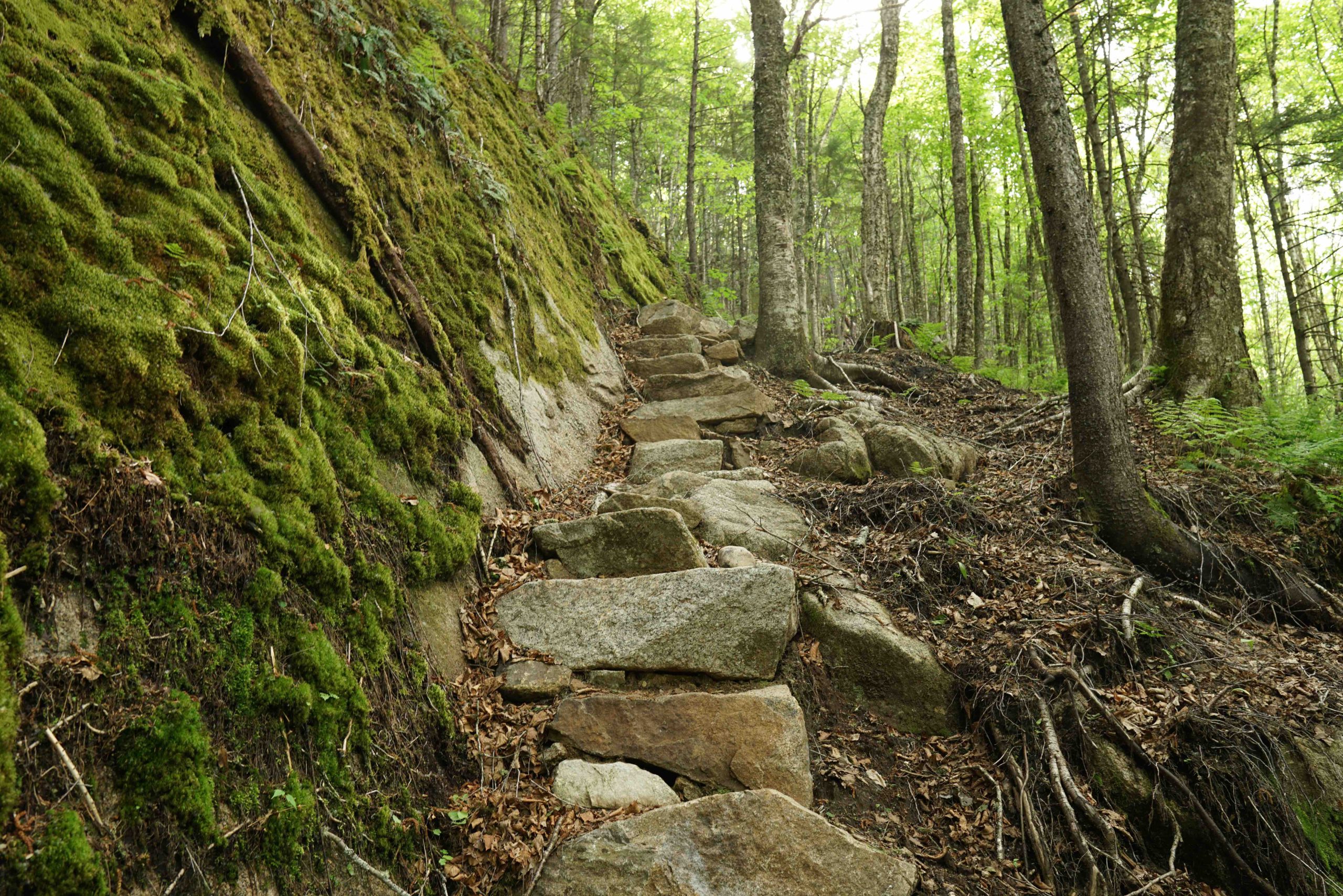 L'escalier des Pas-de-Géant, accessible par les sentiers de la Vallée, avec ses grands rochers créant un escalier en pleine nature, et entourée de végétation luxuriante.