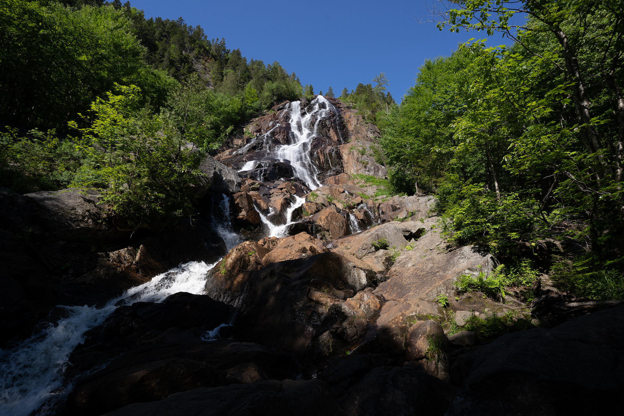 Photo de la Chute Delaney, chute sur rochers entourée d'arbres et de la nature verdoyante offerte par la Vallée et visible via les sentiers de randonnée pédestre.