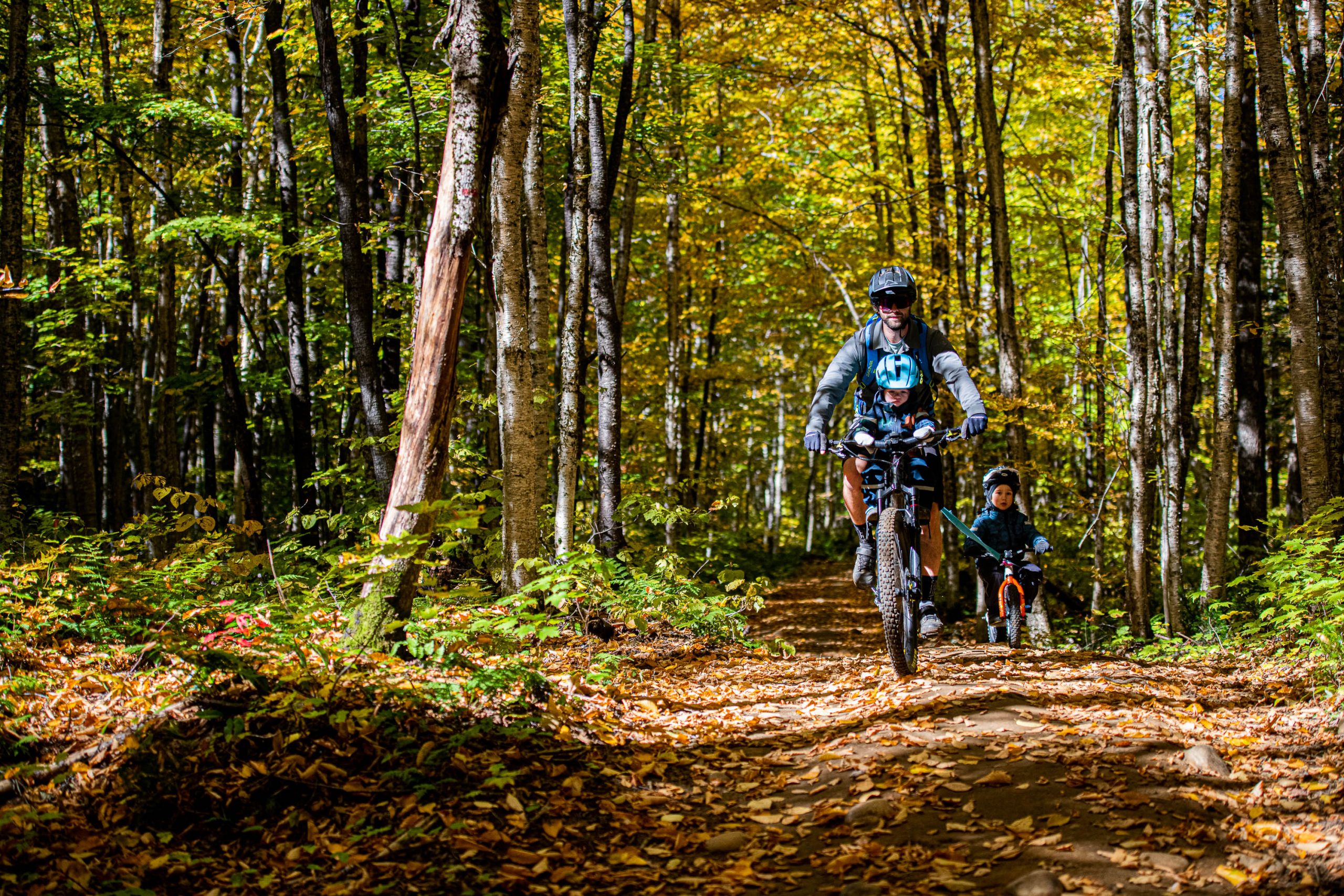 Two cyclists practicing an outdoor activity, mountain biking, on a trail surrounded by nature and forest in the Secteur des Sucrés.