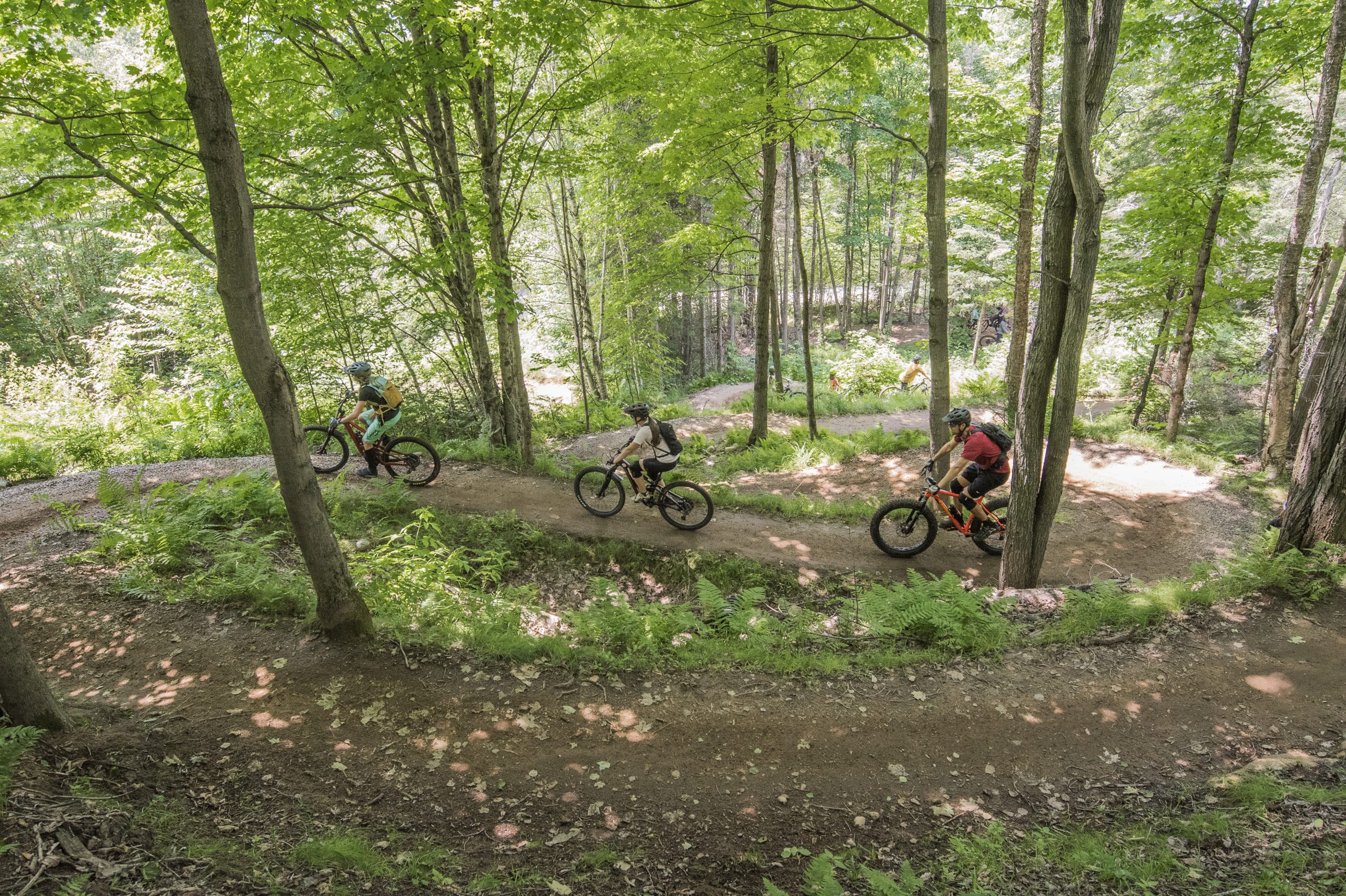 Trois cyclistes à la file pratiquant une activité de plein air, soit le vélo de montagne, sur un sentier entouré par la nature et la forêt dans le Secteur des Sucrés.