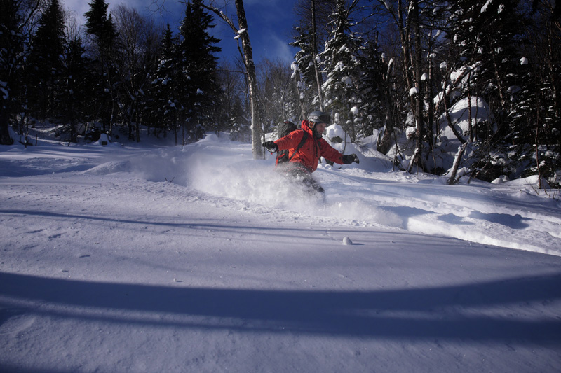 Un skieur expérimenté effectuant une vague de neige, durant une descente en ski de montagne, sur une neige poudreuse, dans la nature hivernale.
