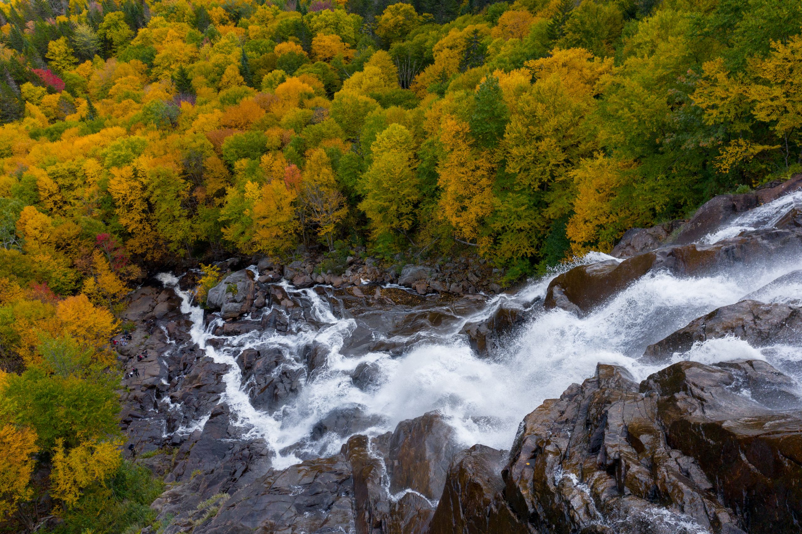 Photo de la Chute Delaney en automne, chute sur rochers entourée d'arbres et de la nature verdoyante offerte par la Vallée et visible via les sentiers de randonnée pédestre.
