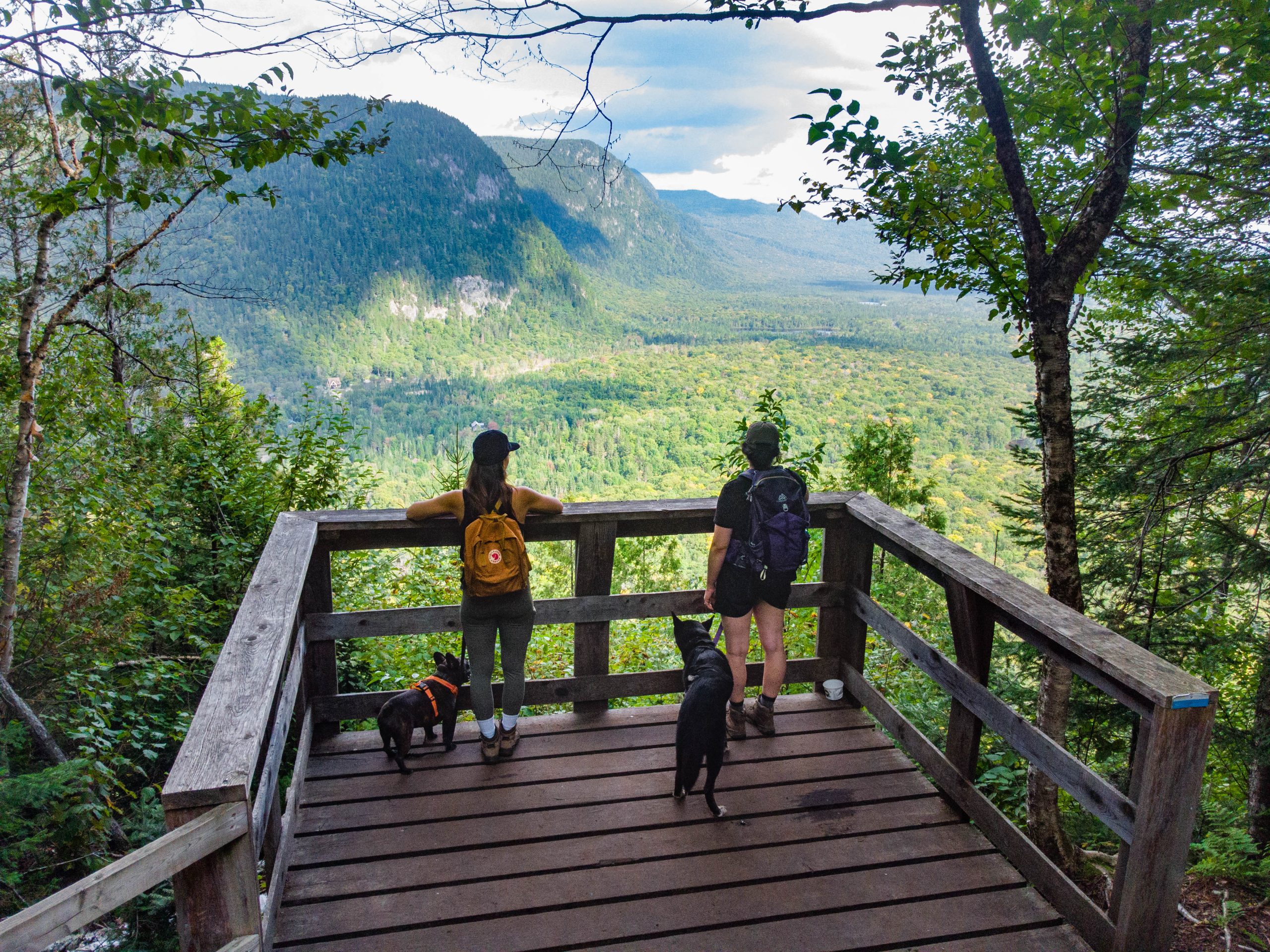 Le sentier de la Boucle de la Hauteur en été, avec un couple accompagné de leurs chiens, profitant d'une vue spectaculaire des montagnes à proximité et sa nature plus verte que jamais.