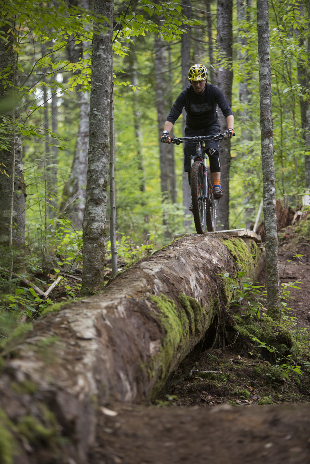 Un cycliste s'adonnant à un sport de plein air, soit le vélo de montagne, sur un tronc d'arbre, l'un des passages du sentier Boréal, entouré par la nature.
