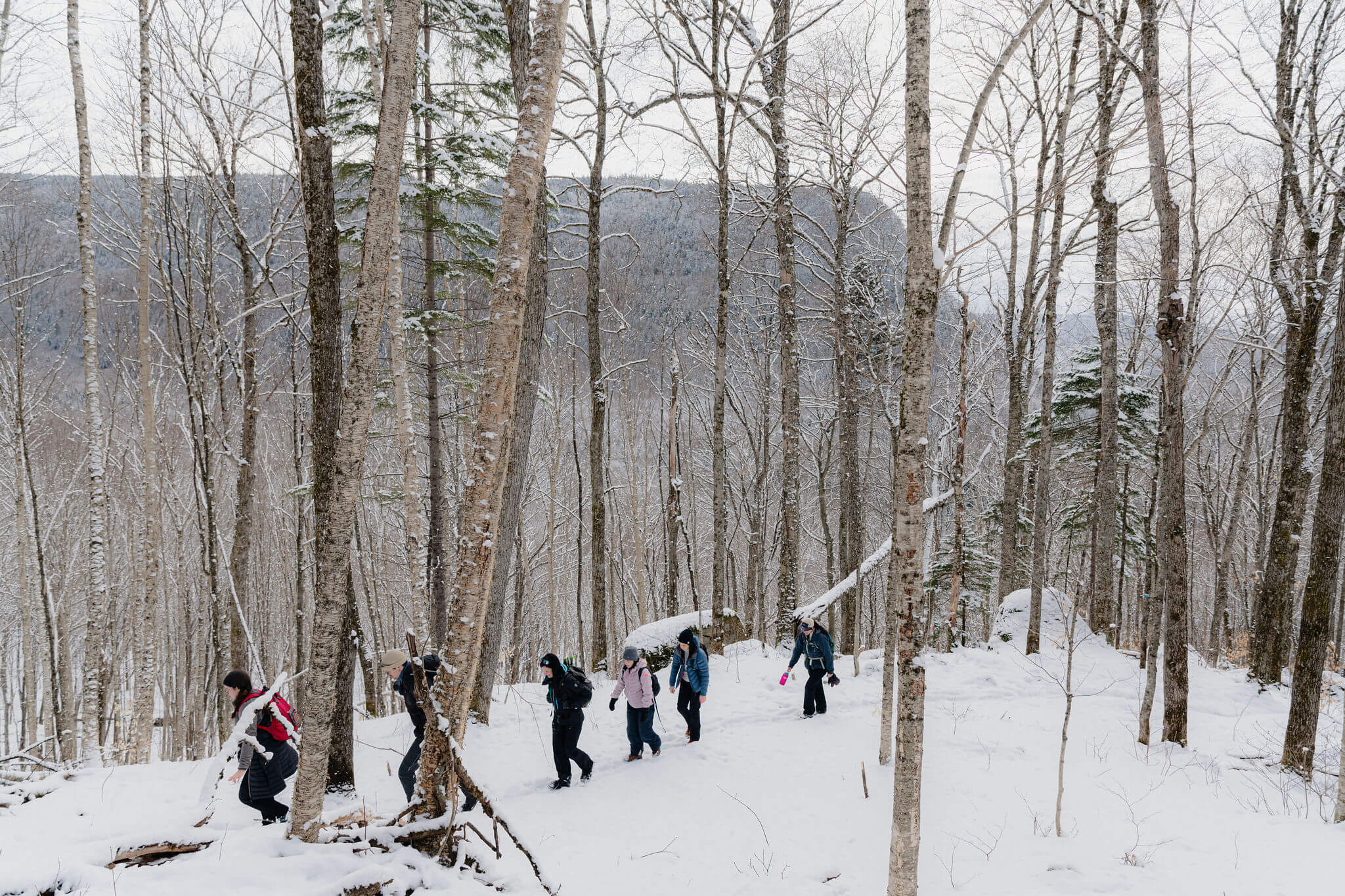 Groupe de randonneurs en file indienne progressant sur un sentier enneigé