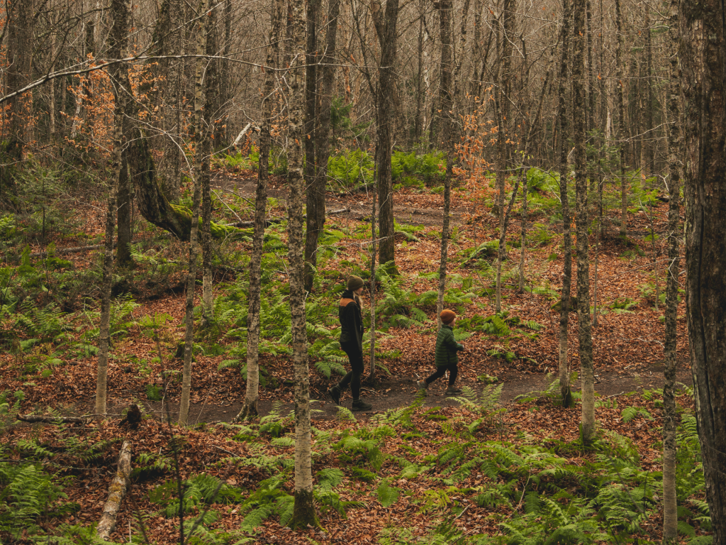 Une femme et un enfant parcourent un sentier de randonnée pédestre en forêt à la Vallée Bras-du-Nord, parmi les fougères et les feuilles d’automne.